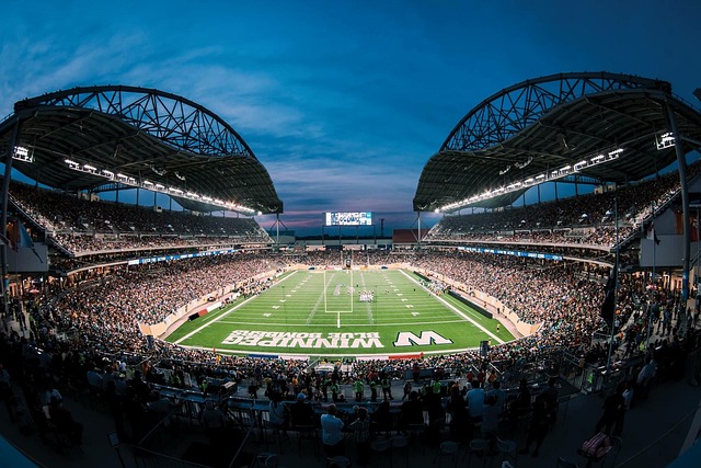 体育评论的 体育评论的