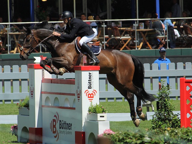 寧波作為一 寧波作為一