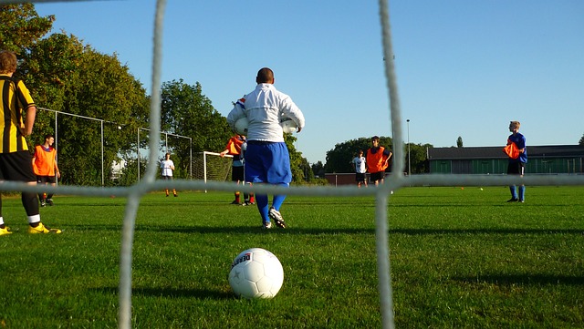 对未来的美 对未来的美
