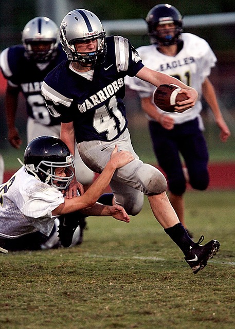 里的气候条 里的气候条