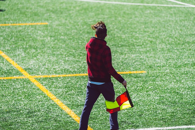 金队的未来 金队的未来