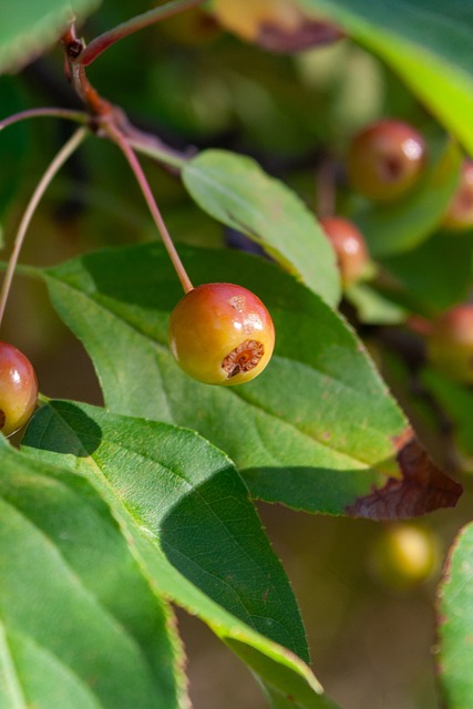 也彰显了年 也彰显了年