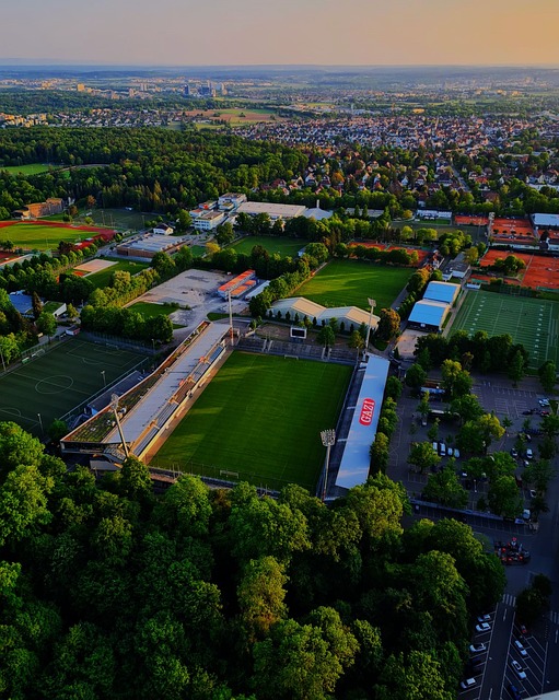 球風格轉型 球風格轉型