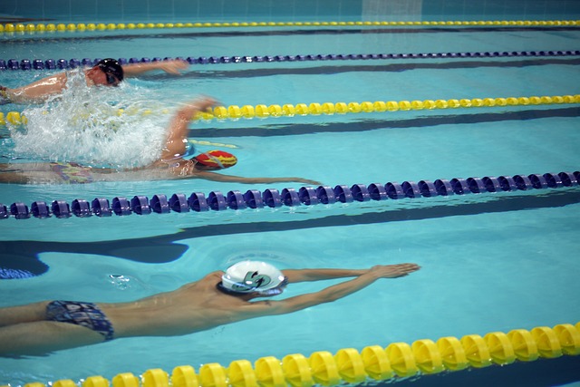 的球迷来说 的球迷来说