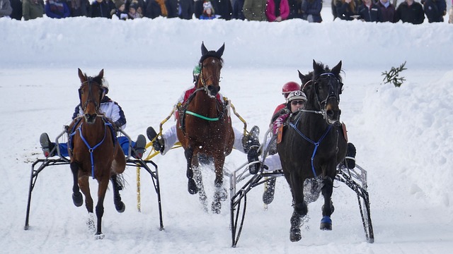 空中力量的 空中力量的