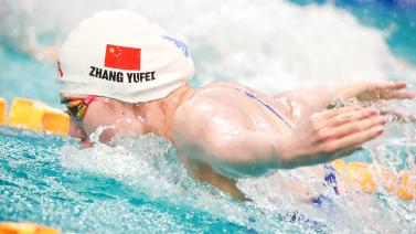 折为未来的 折为未来的